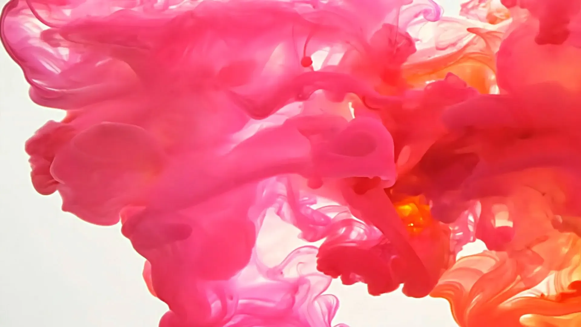 Abstract Pink Smoke Explosion Overlay for Artistic Intros and Logo Reveals